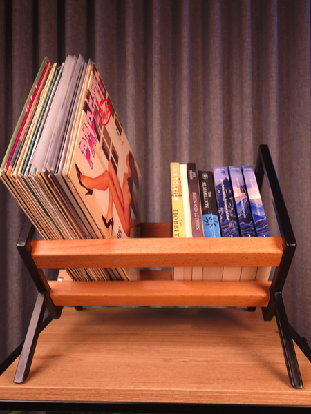 stand for vinyls and books